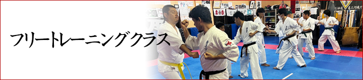 フリートレーニングクラス
